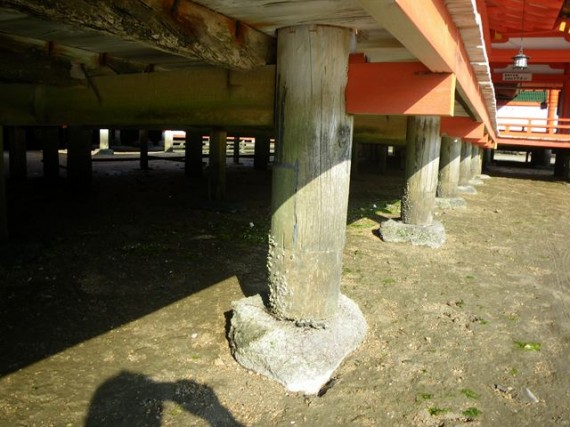 「厳島神社・廻廊」の丸柱の基礎部分（拡大）　（礎石に接した部分は埋め木・接ぎ木が…）