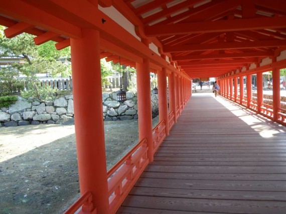 「厳島神社・廻廊」　回廊を上側から　（朱塗りの丸柱・円柱の列に感動）